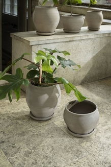 Delphi RAW grå inkl. underskål